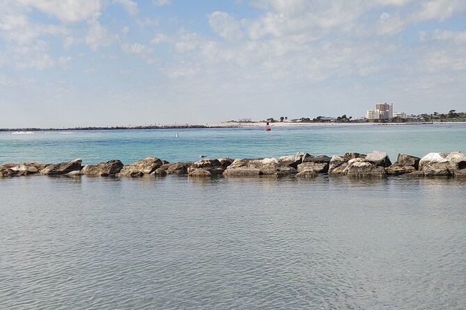 2-Hour Private Sightseeing Dolphin Tour in Panama City Beach - The value of a six-person private charter