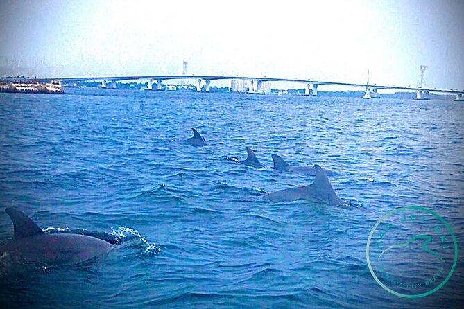 2 Hour Shell Island Jet Ski Dolphin Tour - Crossing St. Andrews Bay toward Shell Island