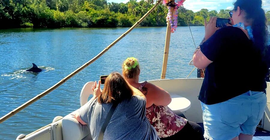 2 Hour Tiki Dolphin Sightseeing Tour in Cocoa Beach - A close look at the Indian River Lagoon