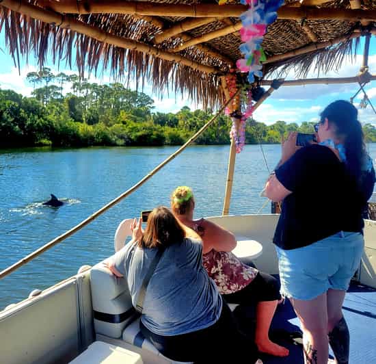 2 Hour Tiki Dolphin Sightseeing Tour in Cocoa Beach - What happens during the two hours