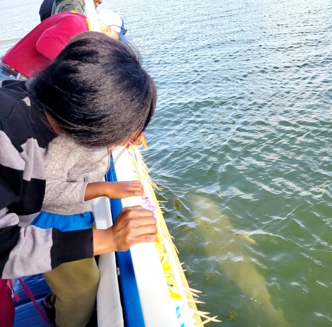 2 Hour Tiki Dolphin Sightseeing Tour in Cocoa Beach - Dolphins, manatees, birds, and the occasional surprise