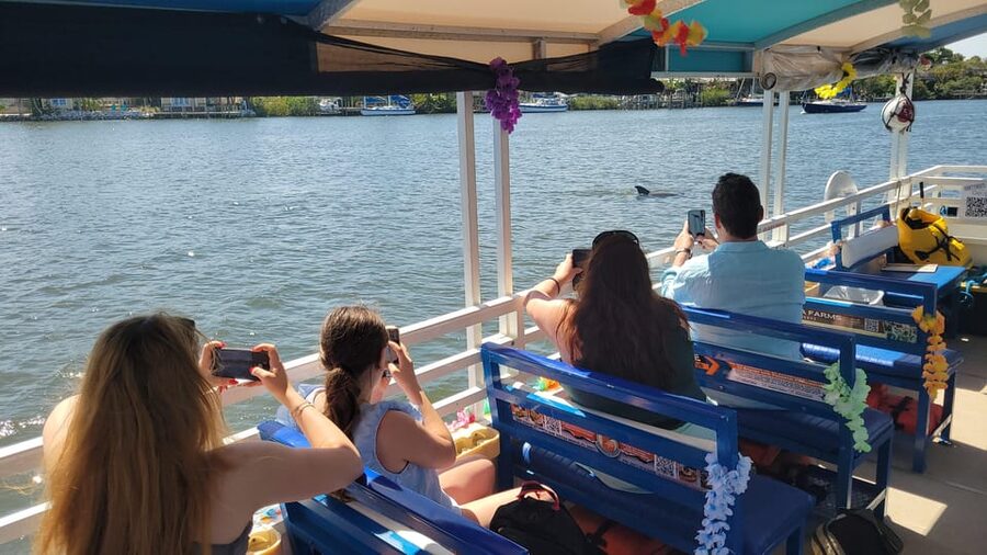 2 Hour Tiki Dolphin Sightseeing Tour in Cocoa Beach - Is the $65 price a good value?