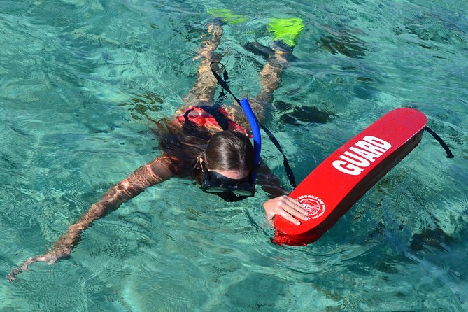 2-Hours Dolphin Excursion in Mauritius - Swimming with wild dolphins, with a guide nearby