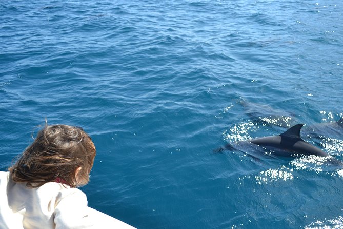 2-Hours Dolphin Excursion in Mauritius - Meeting the boat at 7:00 am in Black River