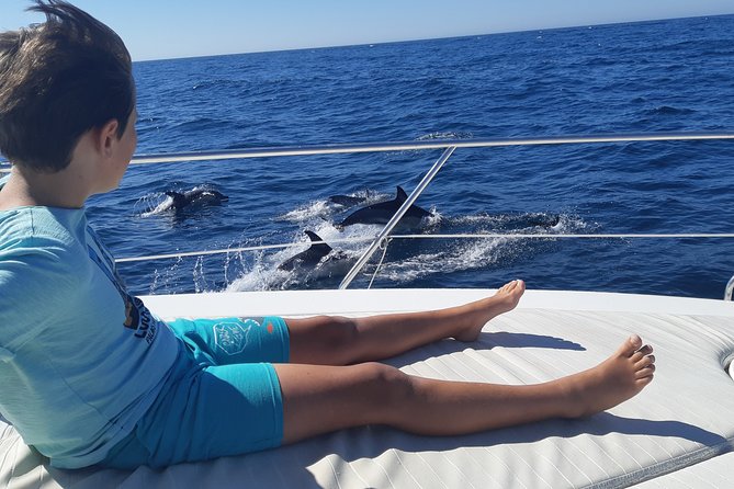 2 Hours Dolphin Watching in Marbella - Leaving from Nueva Andalucía for a private coastal cruise