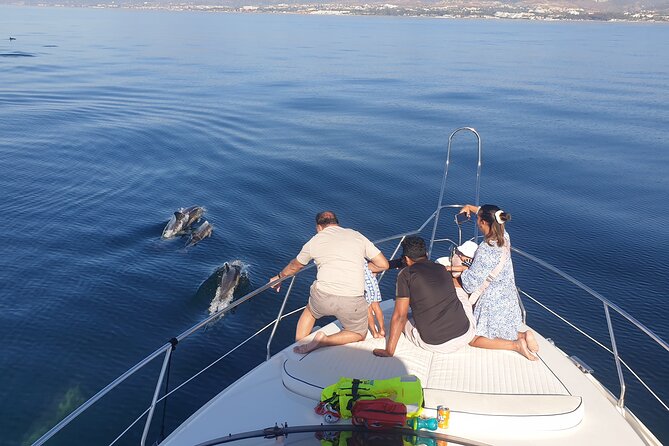 2 Hours Dolphin Watching in Marbella - Searching for dolphins along the Marbella coast