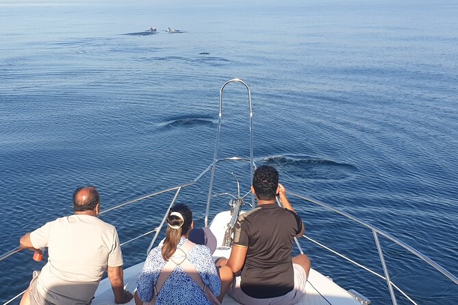 2 Hours Dolphin Watching in Marbella - Snacks, drinks, and what is actually included