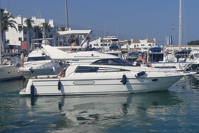 2 Hours Dolphin Watching in Marbella - Who will enjoy this two-hour outing most