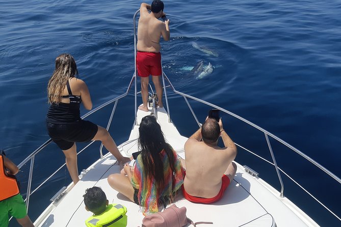 2 Hours Dolphin Watching in Marbella - Swimming, paddleboarding, and time off the boat