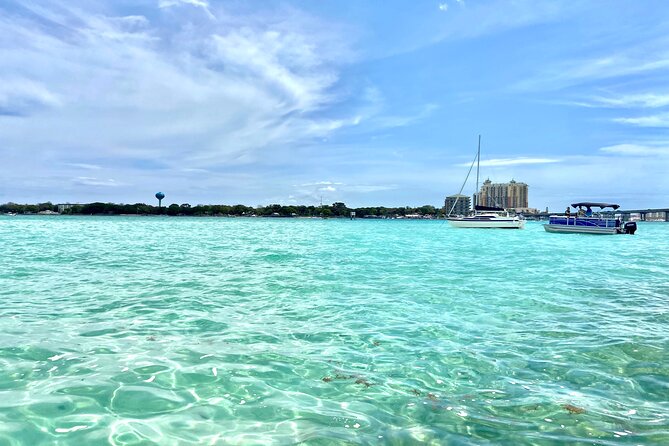 2 Hours Guided Dolphin Tour in Florida - Key points to know before booking