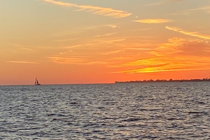 2 HR Dolphin Tour for 7 people - A private Fort Myers boat ride, not a crowded wildlife outing
