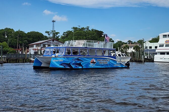 2 HR Dolphin Tour in North Myrtle Beach - Looking for dolphins in open water