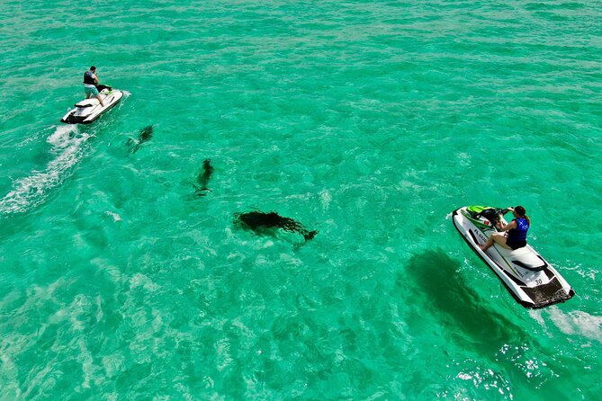 2 Passenger Jet Ski Dolphin Tour from Gilligan’s Watersports - Riding from Harbor Boulevard into open water