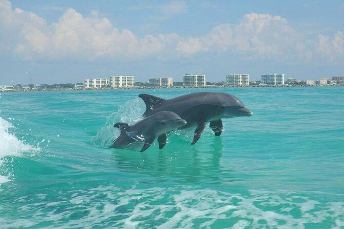 2-Stop Snorkeling and Dolphin Cruise from Destin - Timing, parking, and the practical details