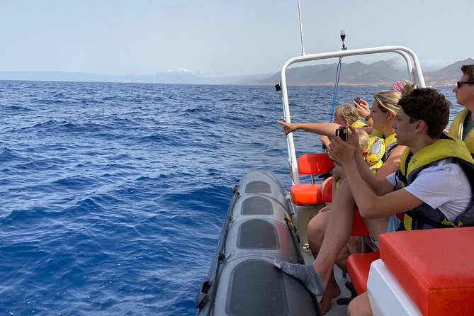 2h Dolphin and Whale Viewing + Snorkeling Tour - The wildlife search along Fuerteventura’s coast