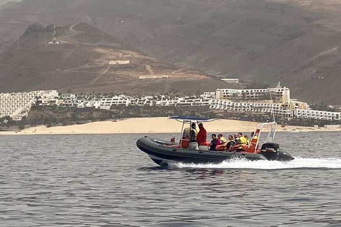 2h Dolphin and Whale Viewing + Snorkeling Tour - Is $62.88 a fair price?