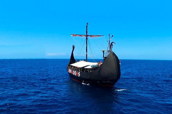 2h Viking Cruise Whales & Dolphins Watching - Who should book the Ragnarok?