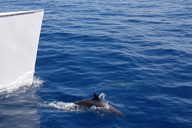 2hrs Dolphins Sunset Sailing Cruise With Drink - Setting sail from Puerto del Carmen’s Varadero harbour