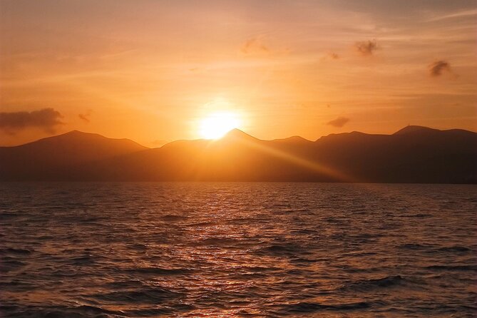 2hrs Dolphins Sunset Sailing Cruise With Drink - Dolphins, whales, and the limits of wildlife watching