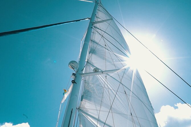 2hrs Dolphins Sunset Sailing Cruise With Drink - Wind, waves, and what to wear