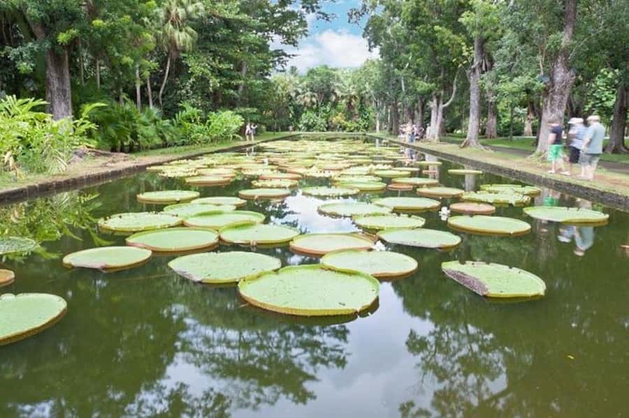 3-Day Private Tour of Mauritius with Optional Dolphin Swim - The Southwest: volcanoes, temples, waterfalls, and Chamarel