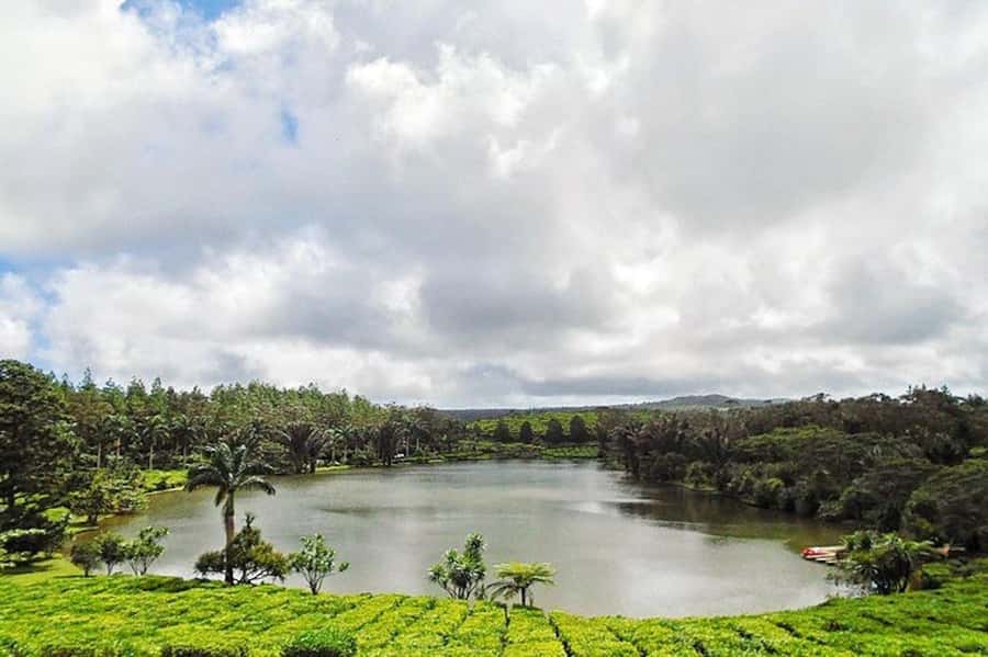 3-Day Private Tour of Mauritius with Optional Dolphin Swim - What the $287 price really covers