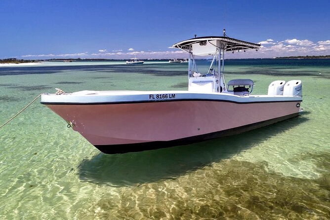 3 Hour Dolphin Tour and Snorkeling in Shell Island - Three Hours, Used in Several Different Ways