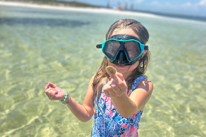 3 Hour Dolphin Tour and Snorkeling in Shell Island - What to Pack for the Boat and Beach