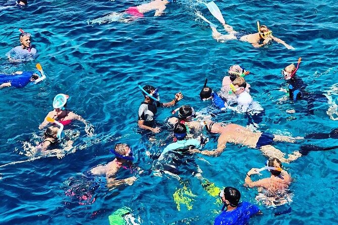 3 Hour Snorkeling and Dolphin Watching Experience in Muscat - Key points to know before booking
