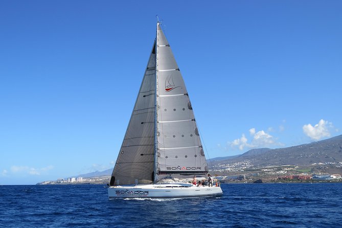 3 Hours All Inclusive Whale and Dolphin Whatching Yacht Trip - Sailing from Puerto Colón for three hours