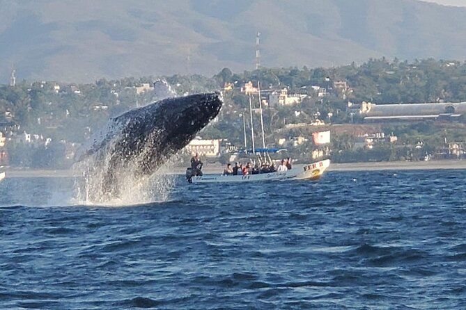 3-Hours Dolphin and Turtle Watching in Puerto Escondido - What the boat ride feels like