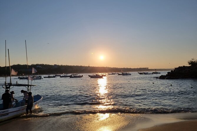 3-Hours Dolphin and Turtle Watching in Puerto Escondido - Who will enjoy this Puerto Escondido safari