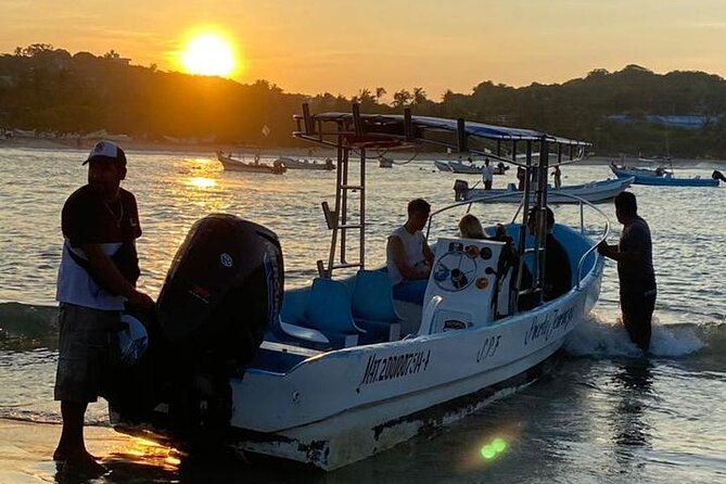 3-Hours Dolphin and Turtle Watching in Puerto Escondido - How to make the most of the early start