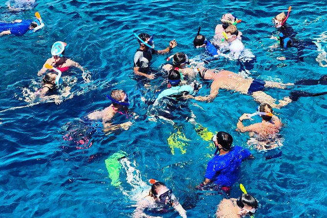 3-Hr Private Snorkeling and Dolphin Watching Tour at Muscat - What the 4.7 rating tells you