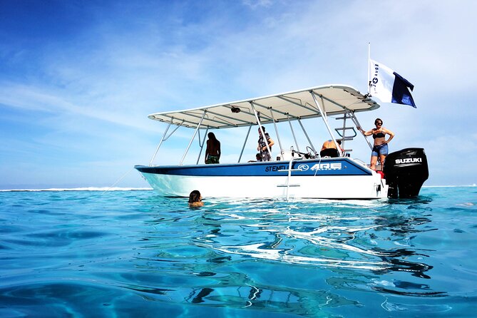 3h dolphin and snorkeling tour in a wild lagoon with Mobydick - Season, weather, and cancellation rules