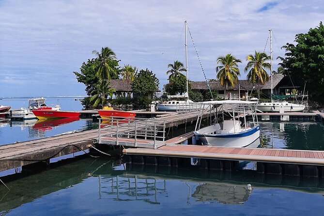 3h dolphin and snorkeling tour in a wild lagoon with Mobydick - Who will enjoy this Paea boat trip most