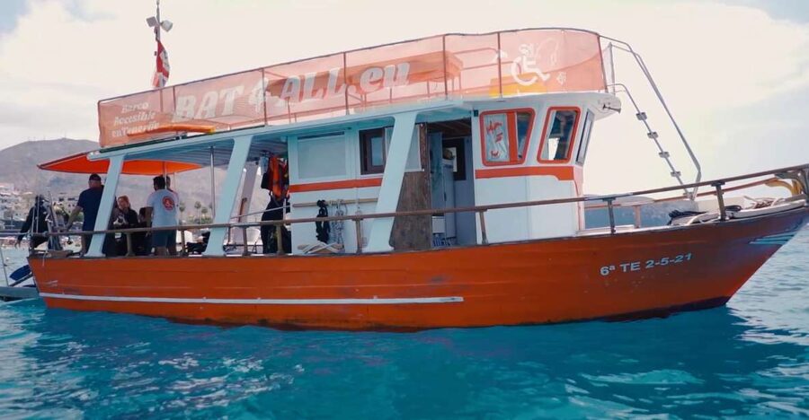 3H Shared Barrier-Free Cruise with Turtles Dolphins & Whales - Food, drinks, and time on board