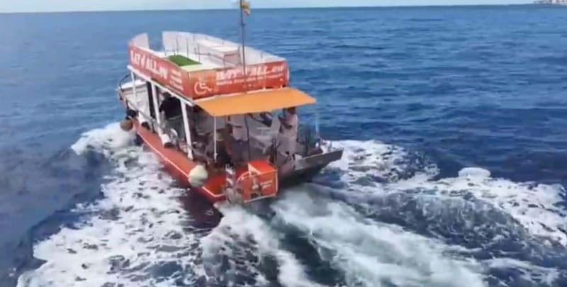 3H Shared Barrier-Free Cruise with Turtles Dolphins & Whales - Who will enjoy Santa Rita most
