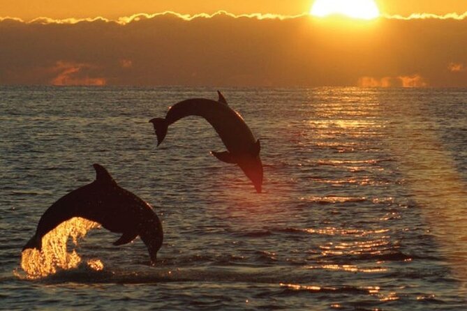 3hours all inclusive Sunset&Dolphin Tour from Medulin on Sandra - Dolphins, sunset, and dinner in one evening