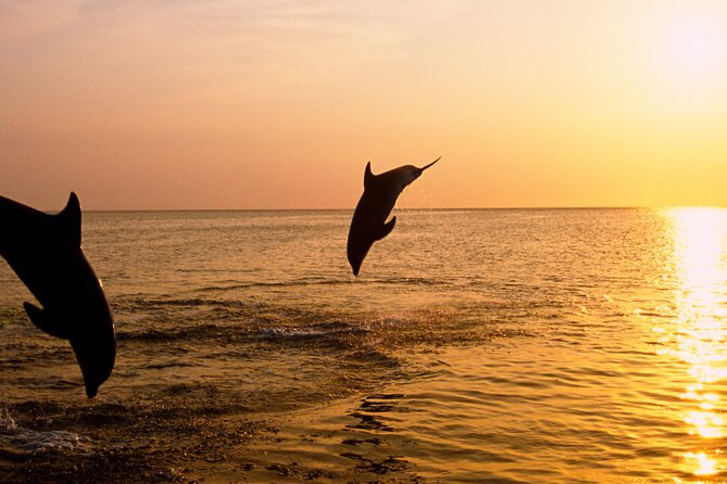 3hours all inclusive Sunset&Dolphin Tour from Medulin on Sandra - Boarding at Medulin Harbor