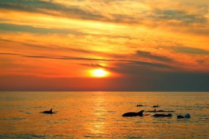 3hours all inclusive Sunset&Dolphin Tour from Medulin on Sandra - Weather, comfort, and who should book