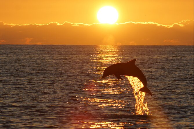3hours all inclusive Sunset&Dolphin Tour from Medulin on Sandra - Is the Sandra sunset cruise worth booking?
