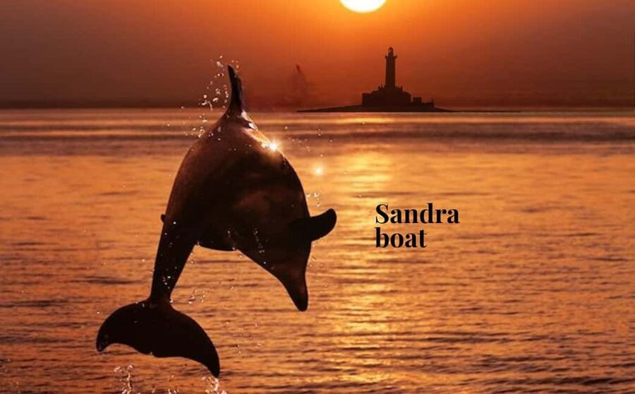 3hours Dolphin Sunset watching with unlimited drinks +dinner - Key points to know before booking