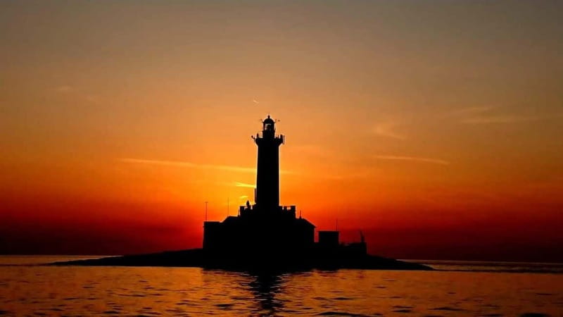 3hours Dolphin Sunset watching with unlimited drinks +dinner - Who should book the Sandra boat cruise?