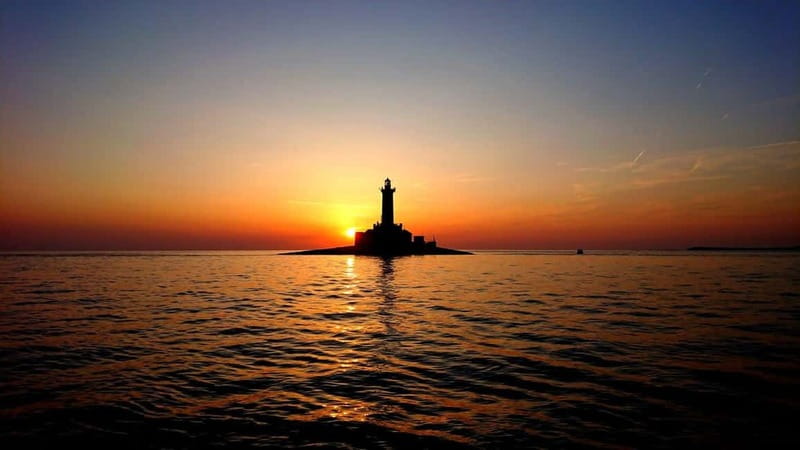 3hours Dolphin Sunset watching with unlimited drinks +dinner - The dolphin search and sunset hour