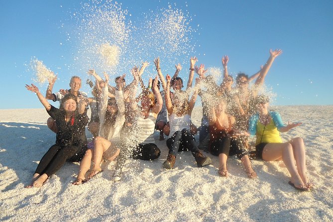 4-Day Monkey Mia Dolphins Pink Lake Pinnacles Comfort-Level Tour - Accommodation and meals need a careful check