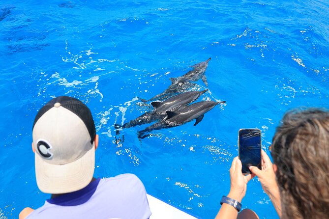 4 Hour Big Island Dolphin Watch Boat Tour, Snorkeling & BBQ Lunch - Lunch on KIBOU: simple, practical, welcome