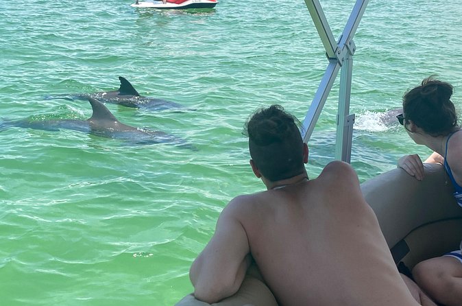 4 Hour Dolphin and Sandbar Cruise - What is included, and what that means for your day