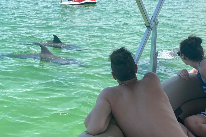4 Hour Dolphin and Sandbar Cruise - Why the personal guide makes the difference