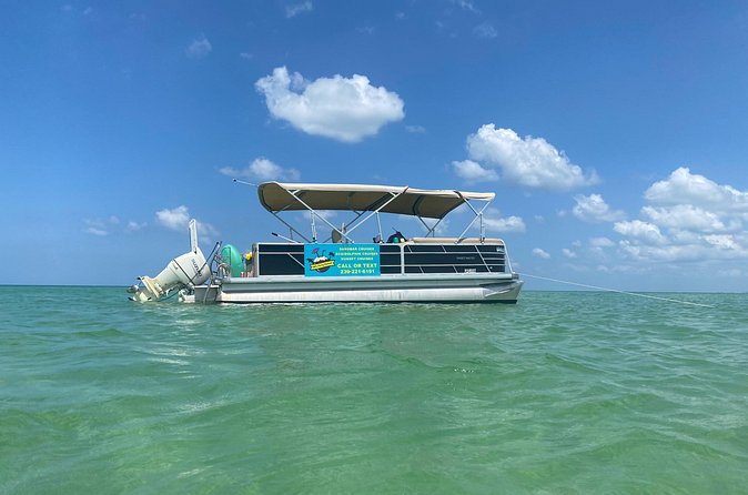 4 Hour Dolphin and Sandbar Cruise - Timing, weather, and cancellation details
